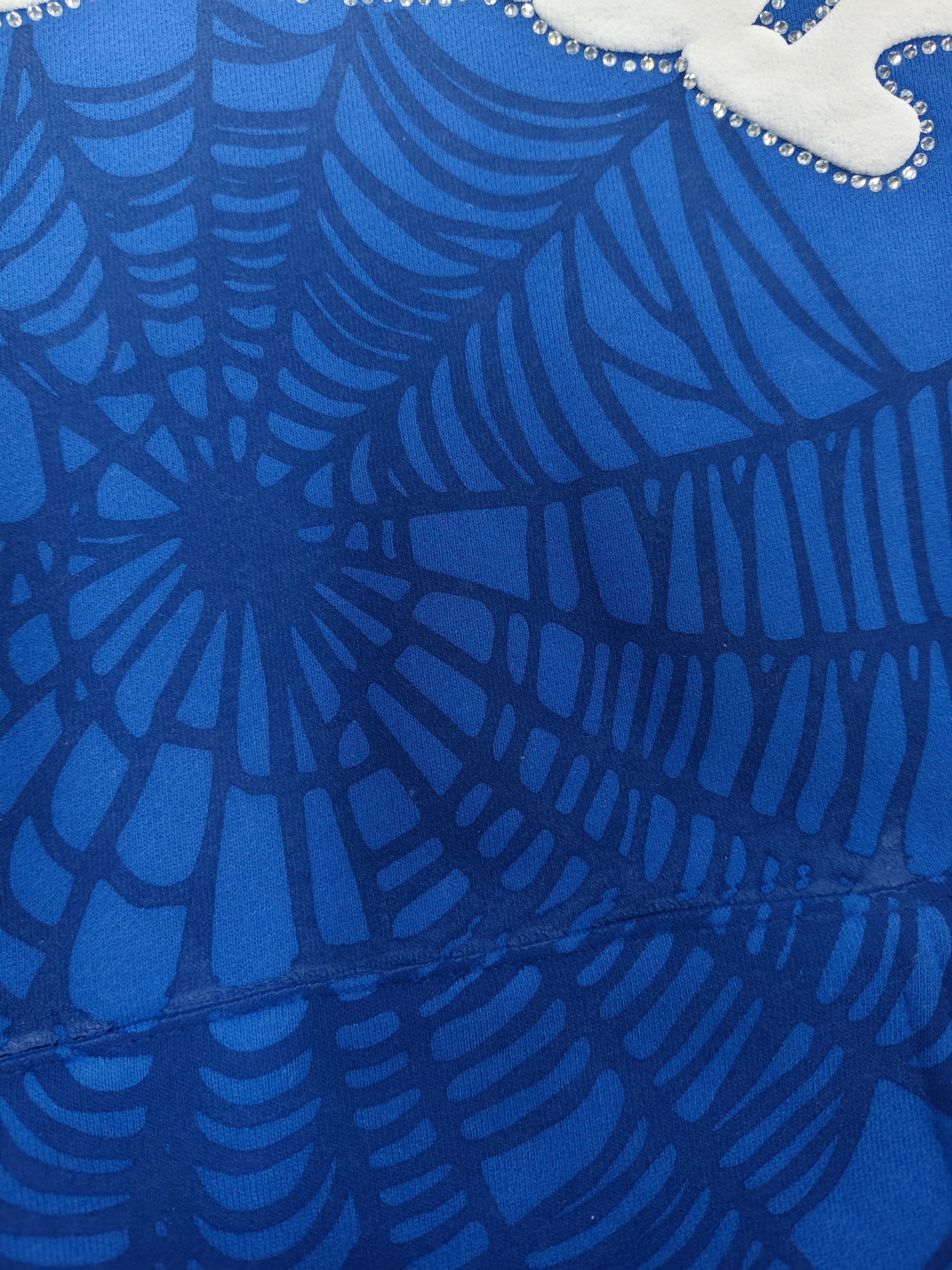 Websuit Blue Hoodie